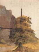 Albrecht Durer A Tree in a Quarry oil painting reproduction